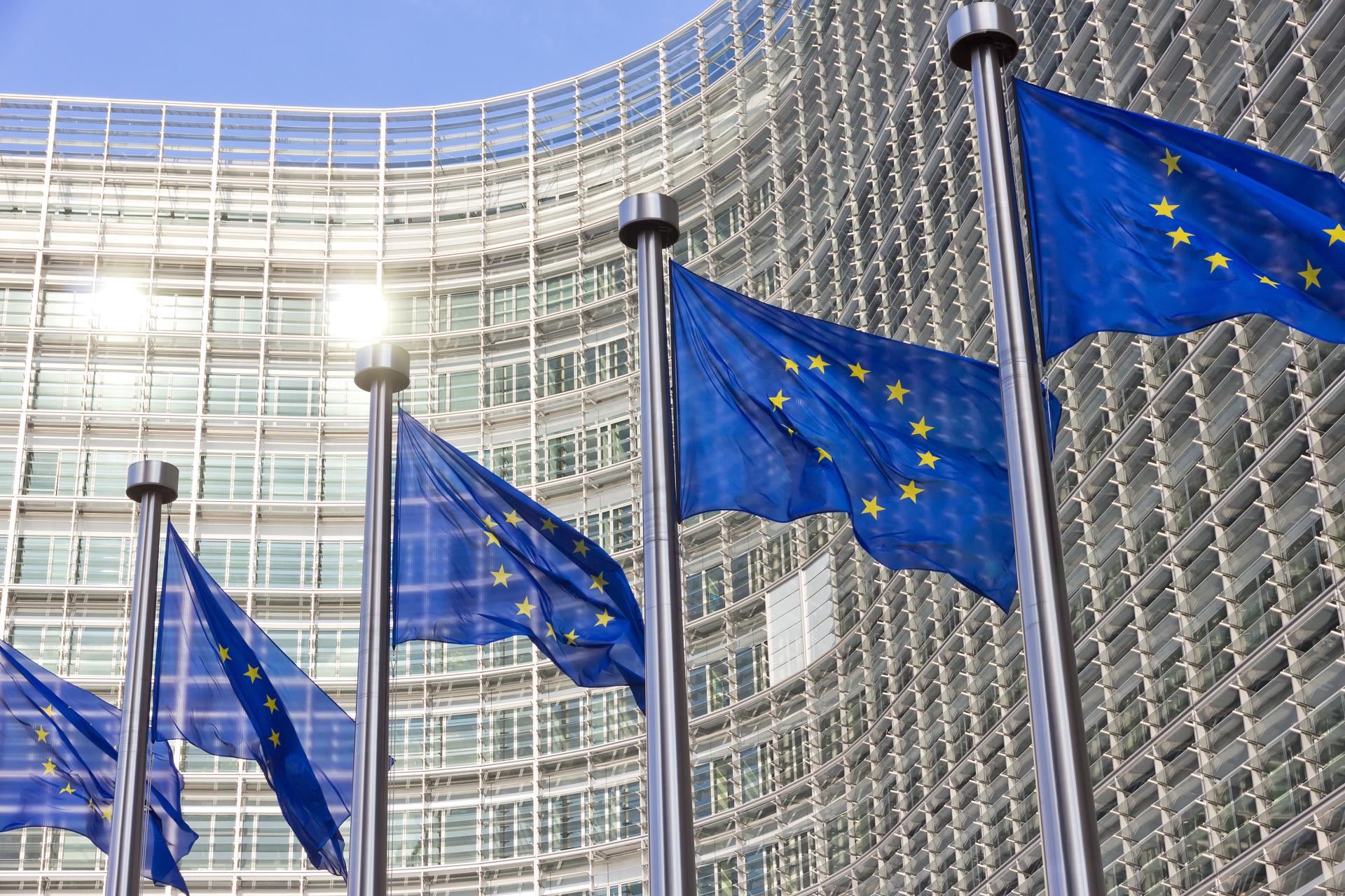 plusieurs drapeaux européens qui flottent au vent devant la façade d'un bâtiment contemporain