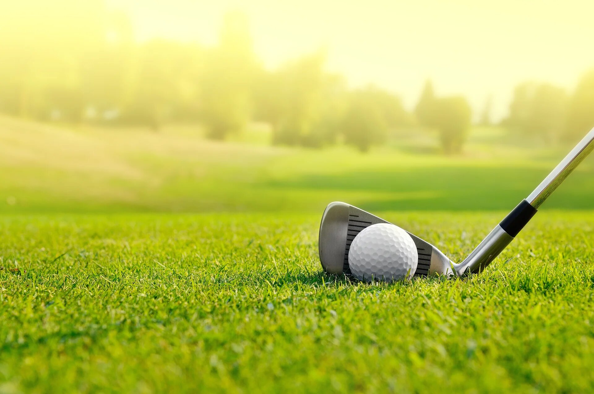 Club de golf et balle de golf sur green