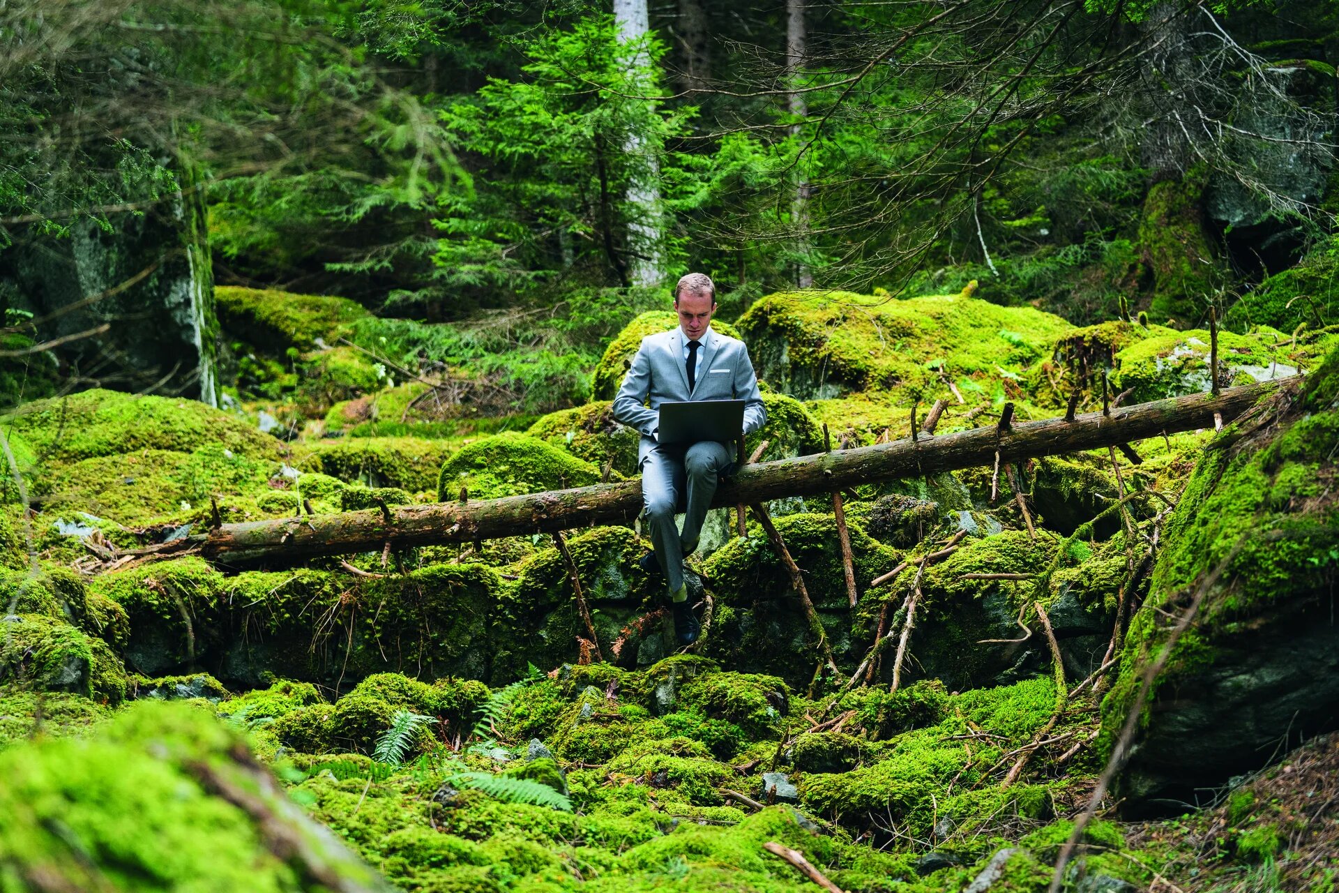 Homme en costume au milieu de la forêt assis sur un tronc d'arbre tombé