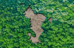 forme Mayotte sous la forme d'une clairière dans une forêt tropicale